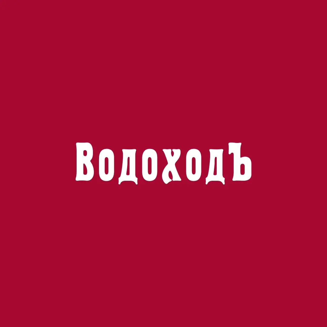 Организатор ВодоходЪ