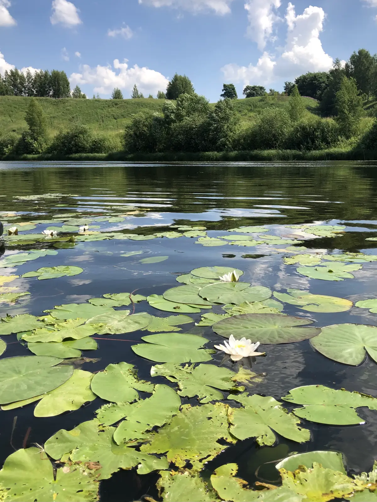 Прогулка по водным просторам Ярославля